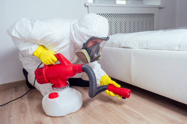 Professional Pest Control in Kronenwetter, WI