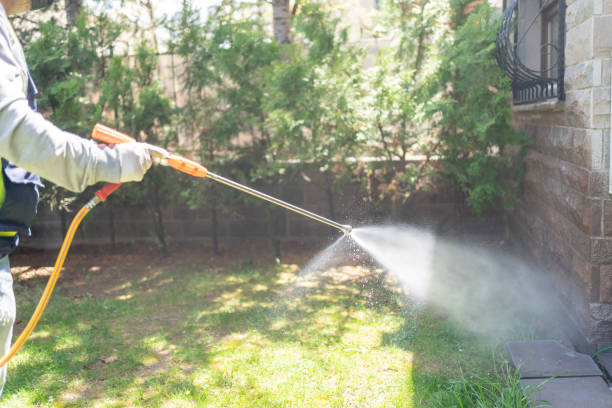 Best Best Pest Control Companies  in Kronenwetter, WI