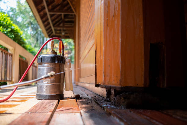 Best Wasp Removal Services  in Kronenwetter, WI