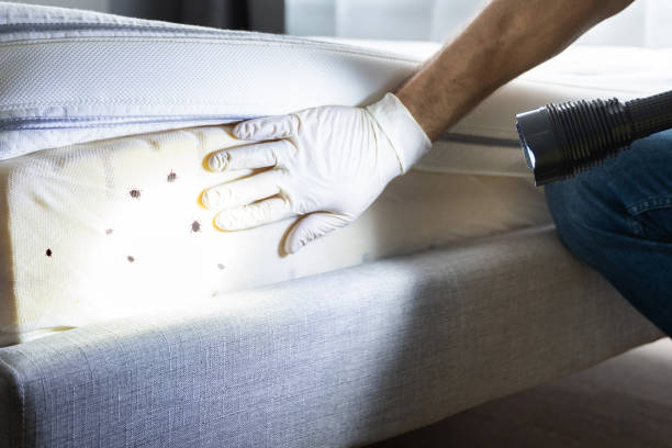 Best Exterminator Services  in Kronenwetter, WI