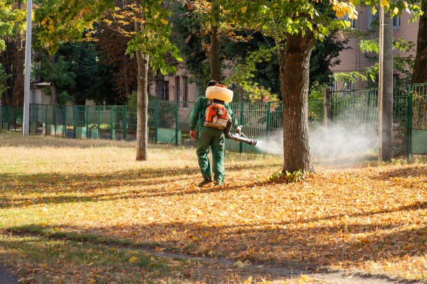 Reliable Kronenwetter, WI Pest Control Solutions
