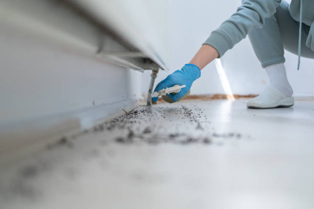 Best Commercial Pest Control Services  in Kronenwetter, WI